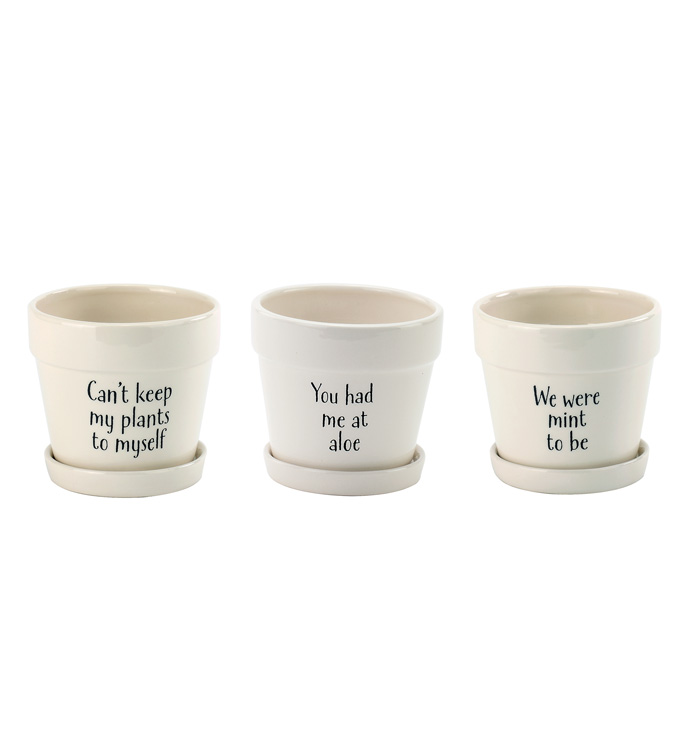 4.5" Decal Pots with Saucer, 3 Asso