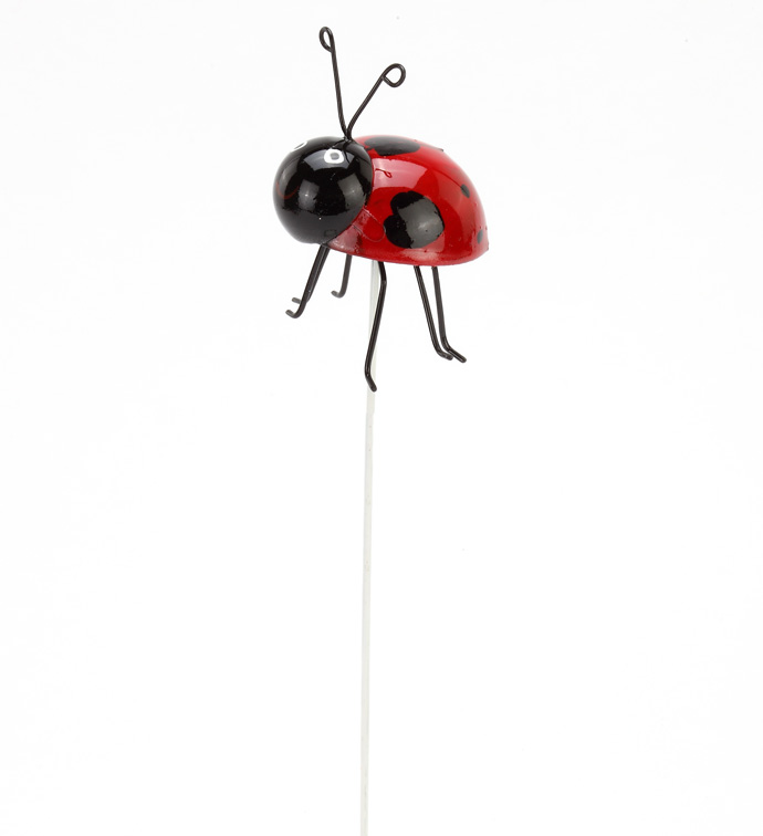 Lady Bug Pick