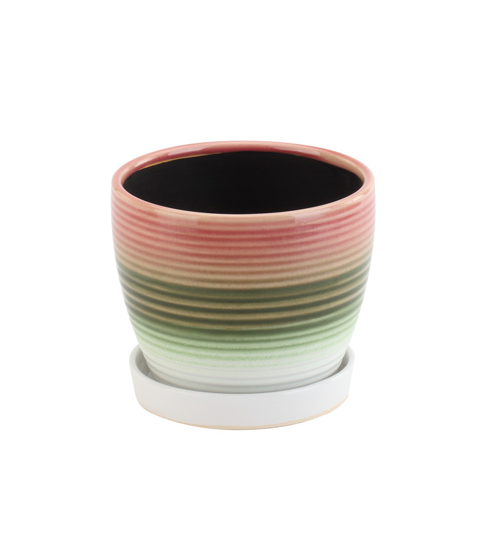 4.5" Tri Color Ribbed Pot with Sauc