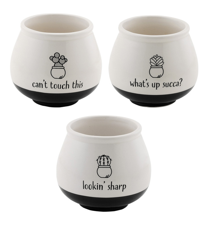 Decal Punny Pot, 3 Assorted