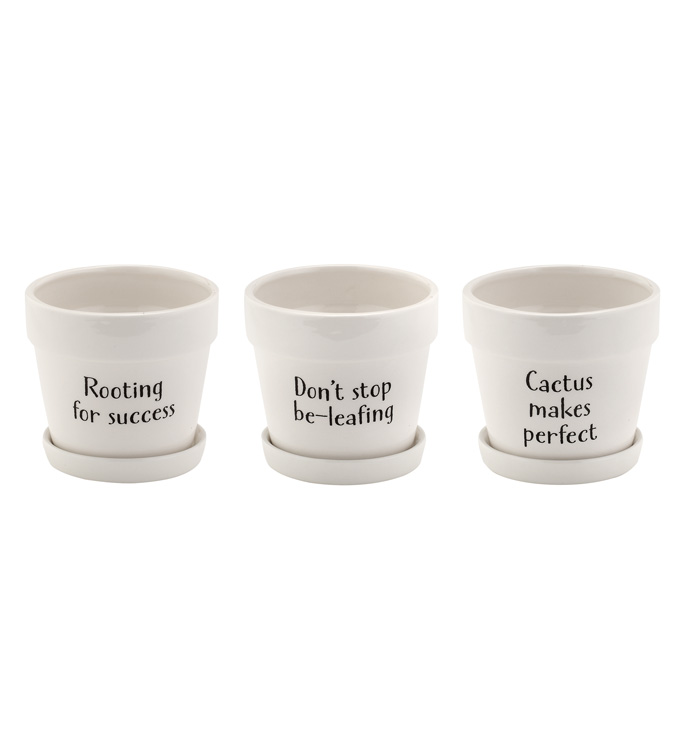 Witty Planter w/Saucer, 3 Assorted 