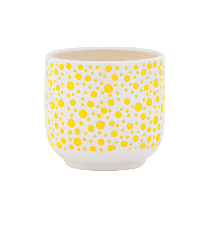 Yellow Polka Dot Cache