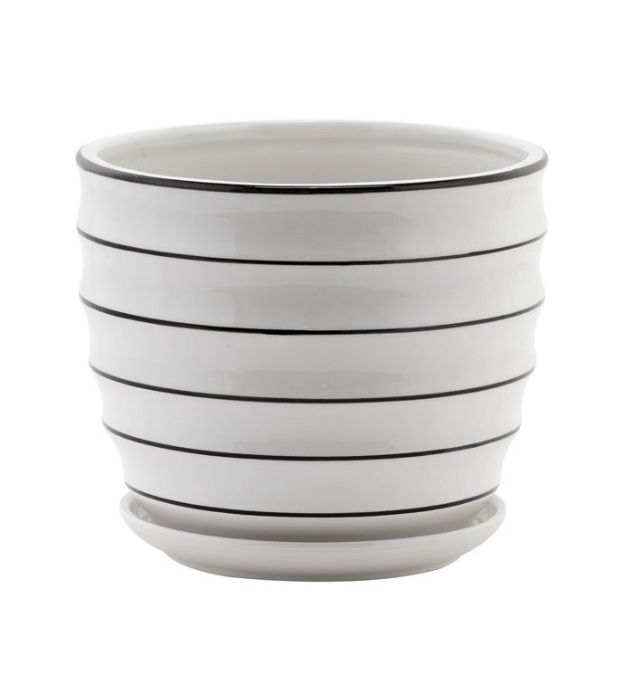 6.5" White Ribbed Pot w/Saucer