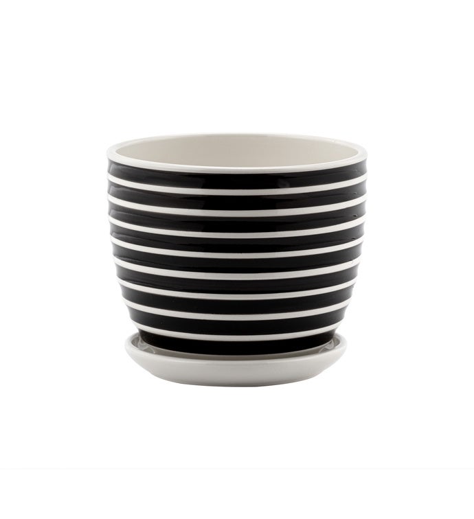 Sm Black/White Striped Pot w/Saucer
