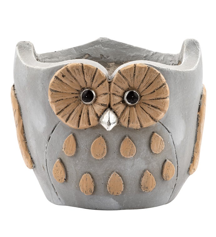XL Whimsy Owl Planter