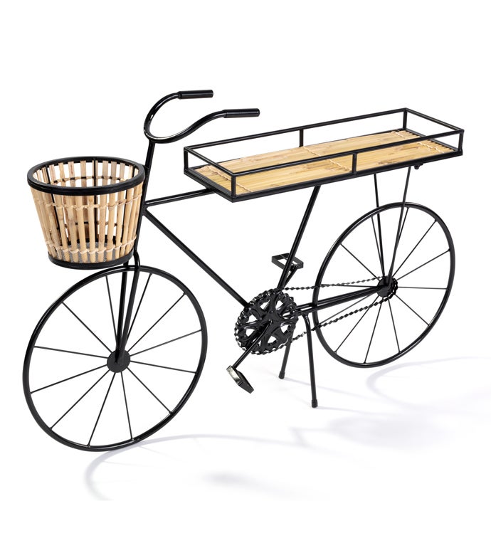 Bicycle Plant Stand with Willow    