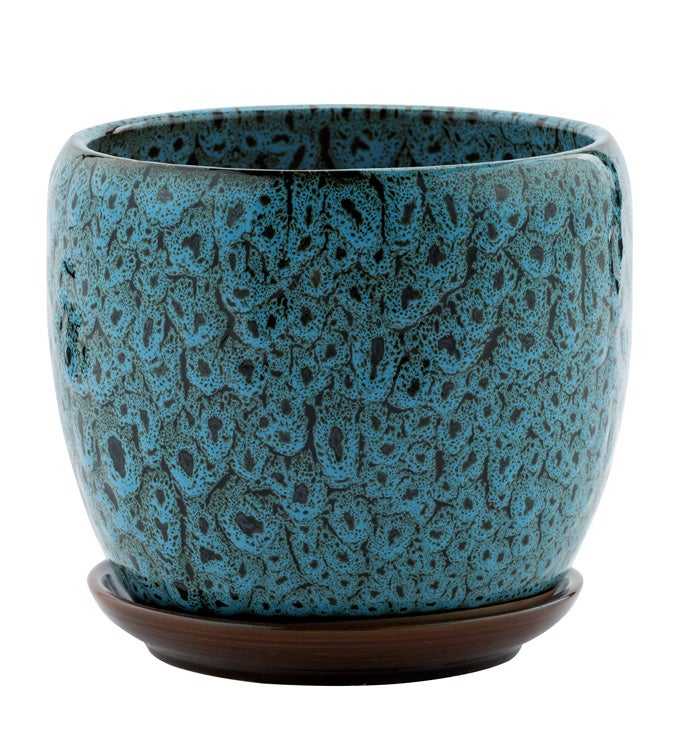 Large Blue Mottled Pot with Saucer