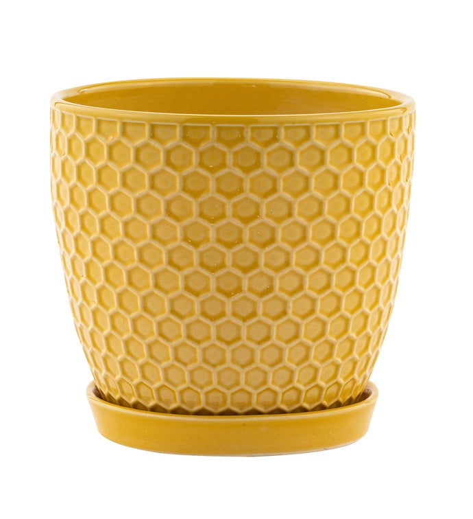 Lg Yellow Honeycomb Pot with Saucer