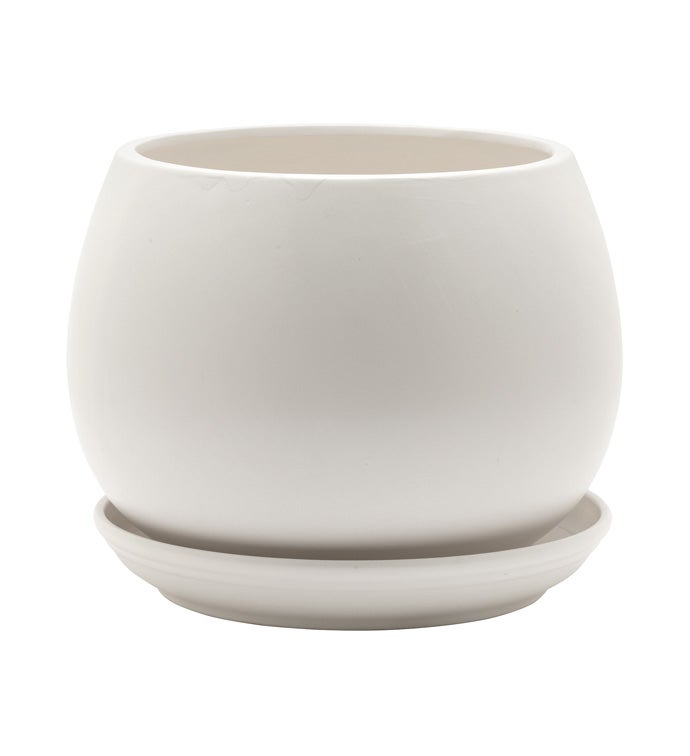 Large Matte White Bowl Planter with