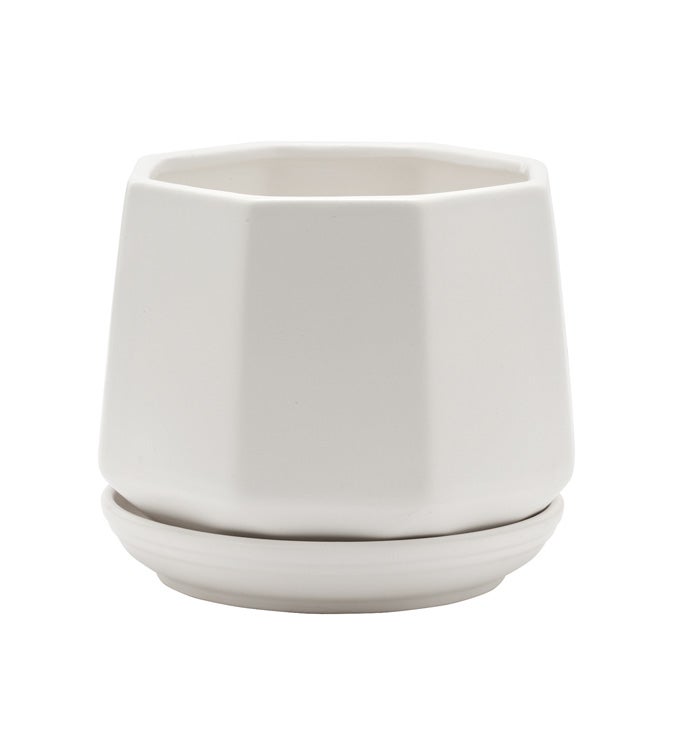 Large White Hexagonal Planter