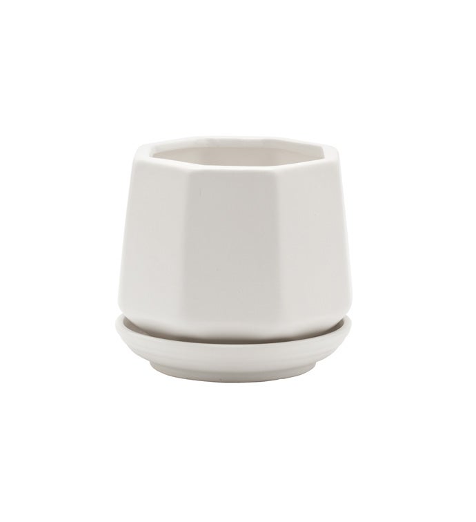 Matte White Hexagonal Planter with