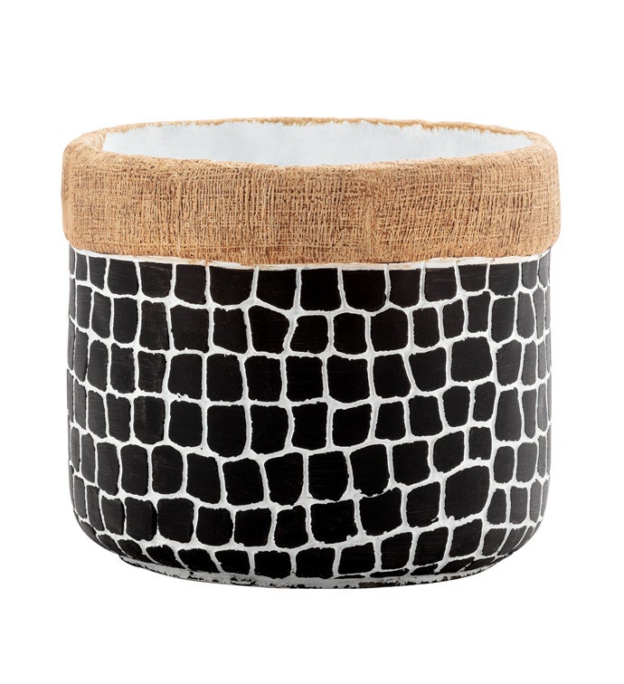 Black and White Scale Cache