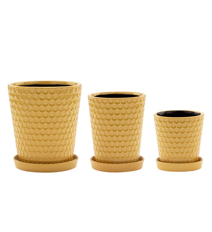 Yellow Vases with Saucer, Set of 3