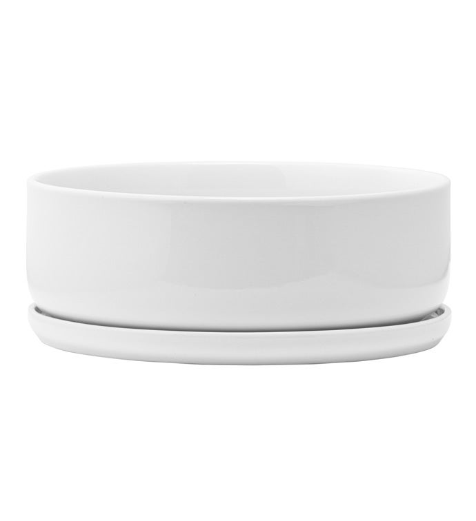 White Dishgarden with Tray