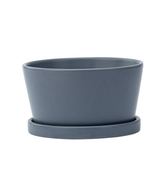Small Blue Dish Garden with Saucer
