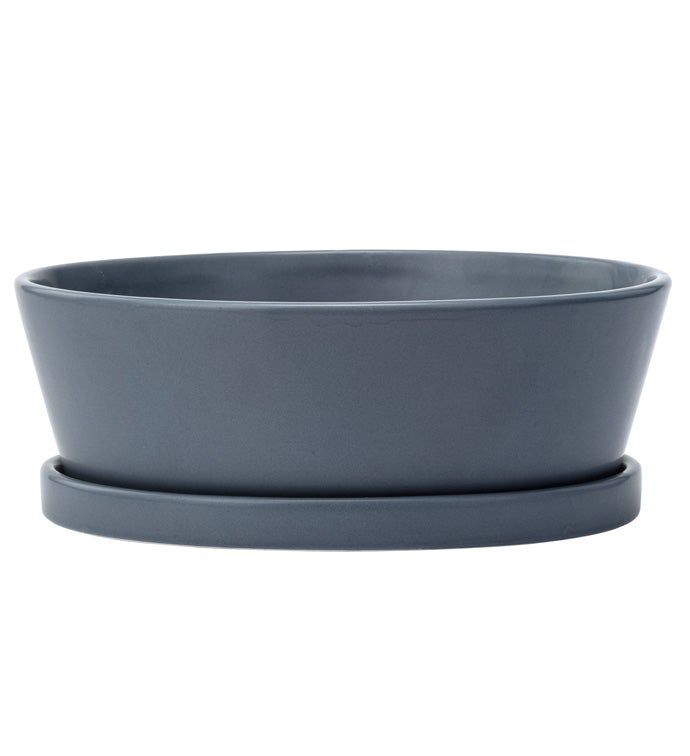 Large Blue Dishgarden with Saucer