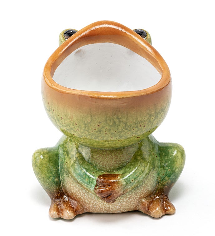 Sitting Frog Head Planter