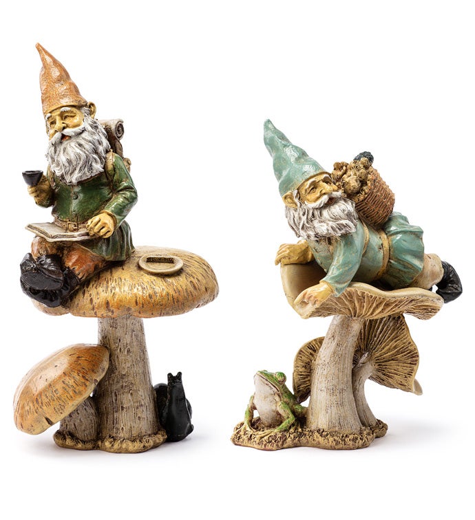 2 Ast Gnomes on Mushrm