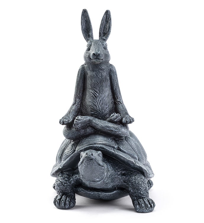 Yoga Rabbit on Turtle