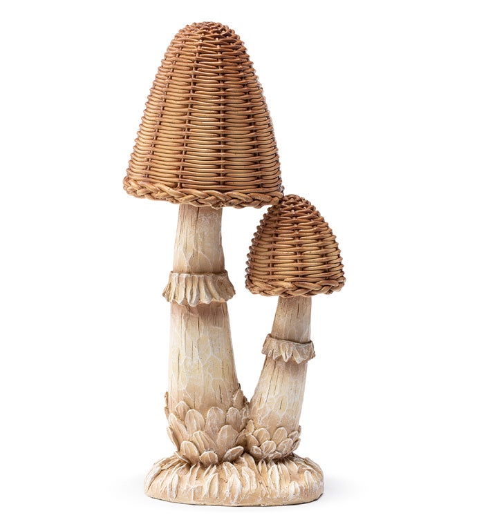 Double Brown Cap Mushroom