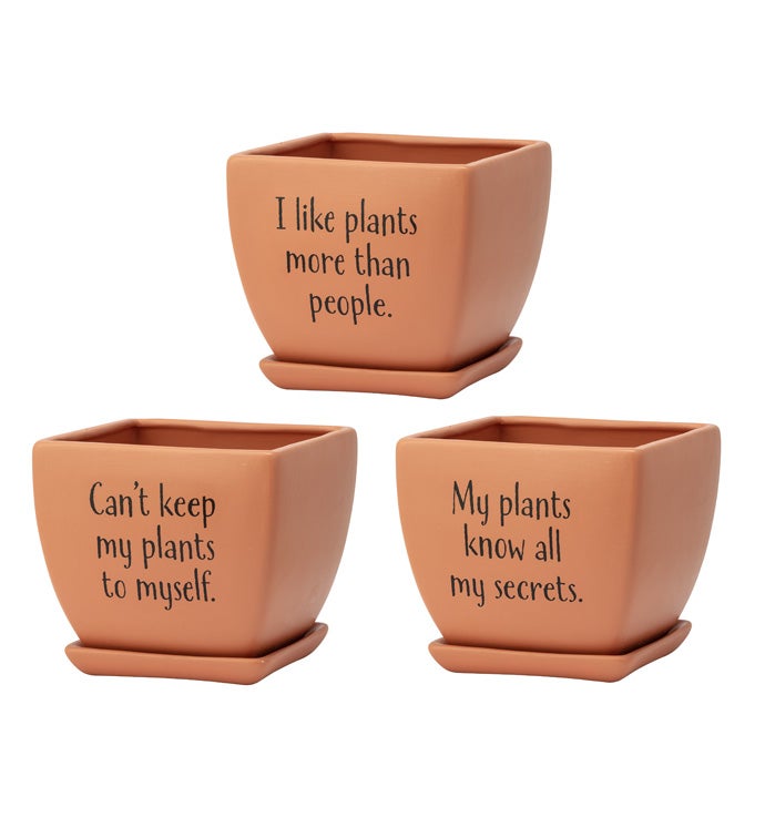 Square Witty Planter with Saucer, 3