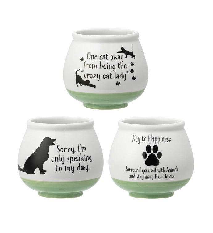 Witty Animal Planter, 3  Assorted