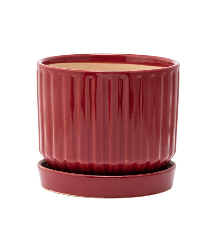 Small Burgundy Ribbed Planter with