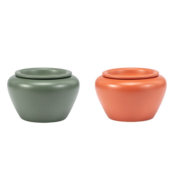Brown/Green Violet Pot, 2 Assorted