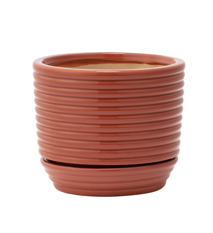 Small Rust Rings Planter with Sauce