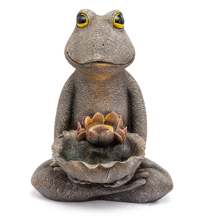 Sitting Frog Water Fountain