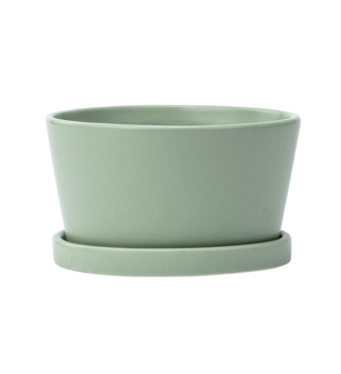 Small Green Dish Garden with Saucer