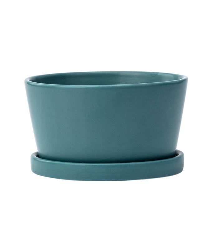 Small Teal Dish Garden with Saucer