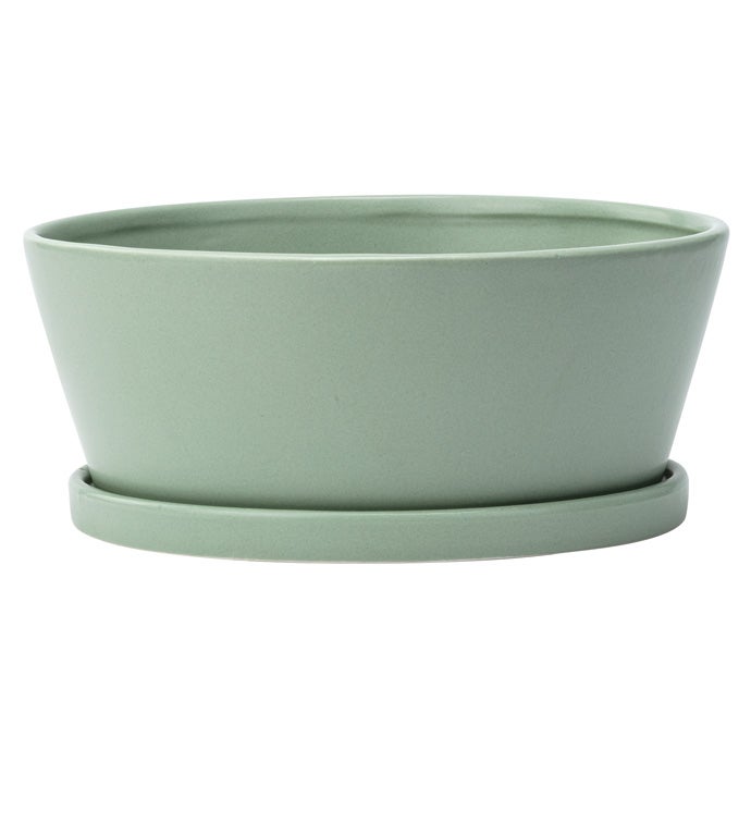 Large Green Dish Garden with Saucer
