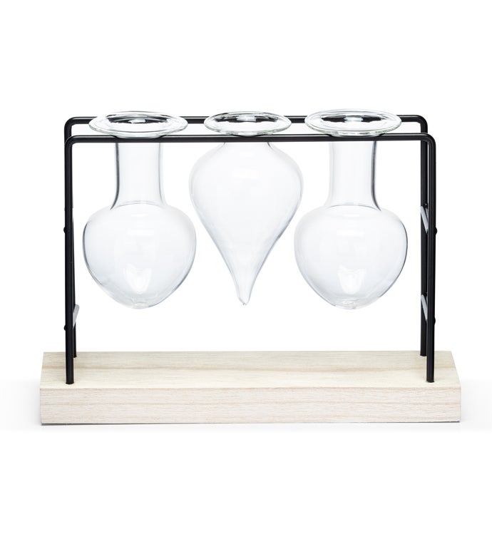 3 Glass Vase Propagation Stand