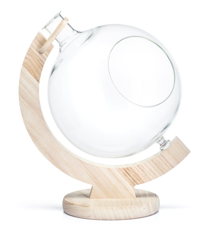 Glass Globe Propagation Semi Circle Planter
