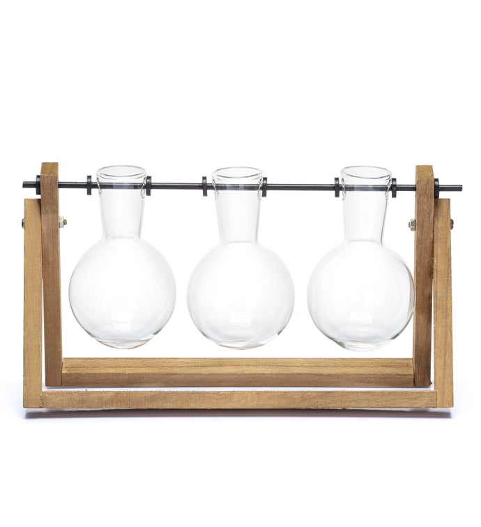 3 Hanging Propagation Glass Vases in Wood Stand