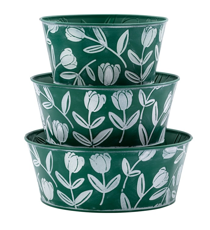 Green/White Tulip Dish Gardens, Set of 3