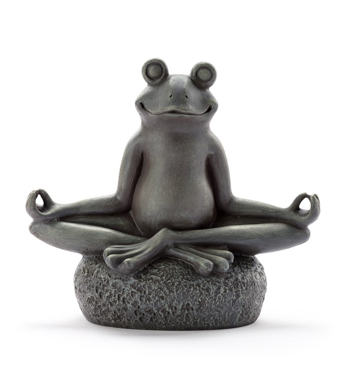 Yoga Frog on Rock