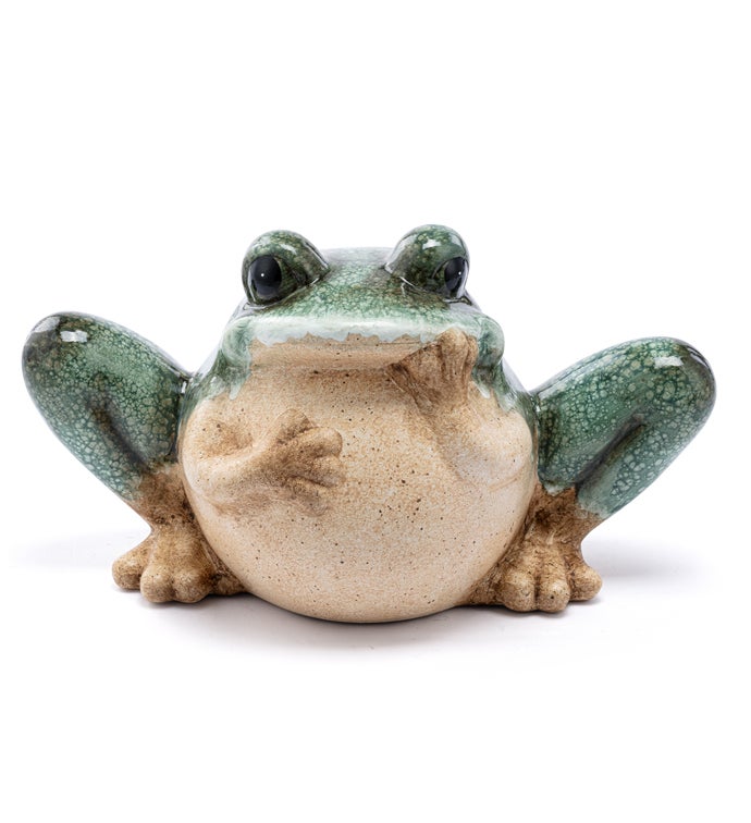 Sitting Frog Holding Face