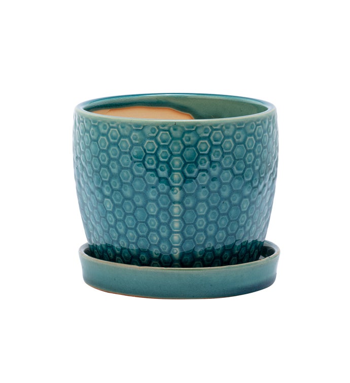 4.5" Sea Blue Prism Planter with Saucer