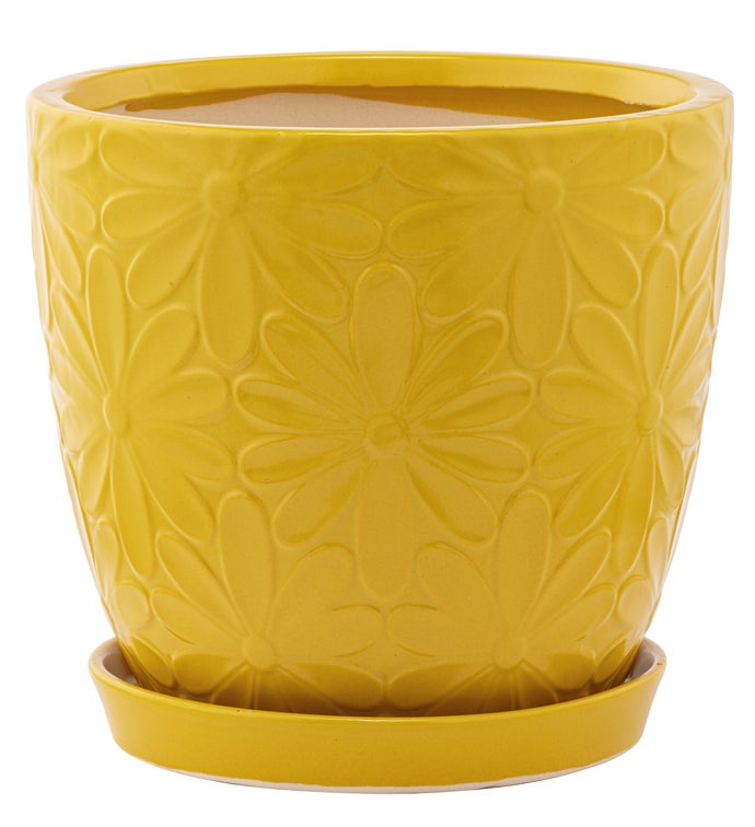 Large Yellow Embossed Daisy Pot with Saucer
