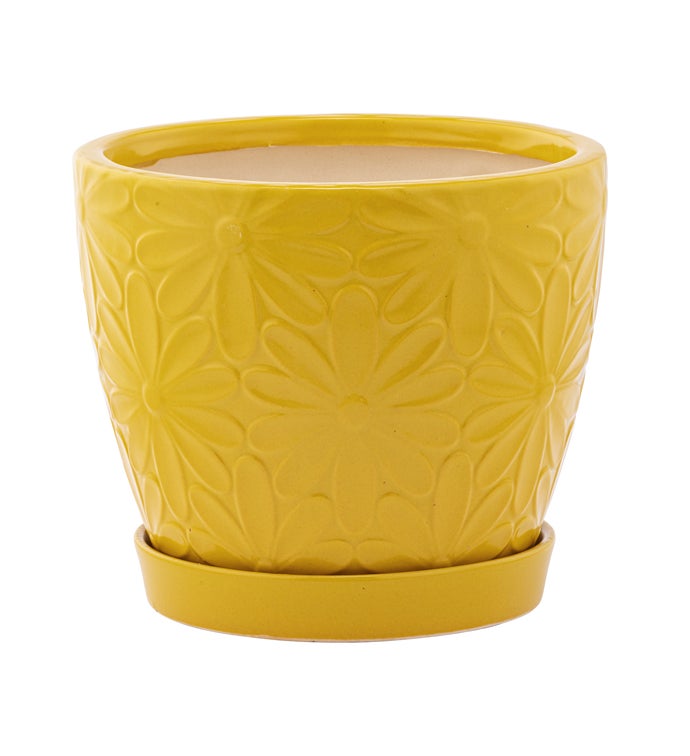 6" Yellow Embossed Daisy Pot with Saucer