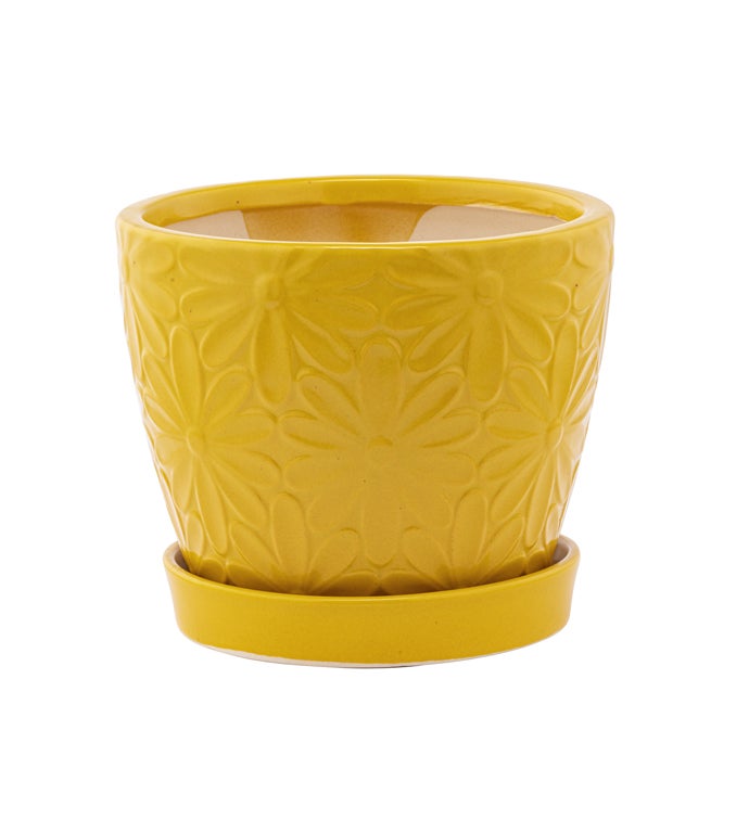 4.5" Yellow Embossed Daisy Pot with Saucer