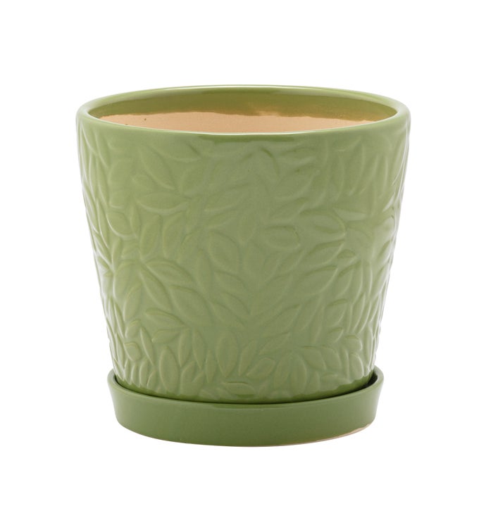 6" Green Embossed Leaves Pot with Saucer