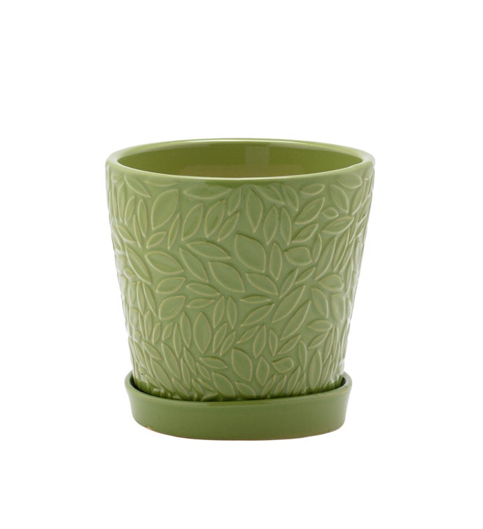 Small Green Embossed Leaves Pot with Saucer