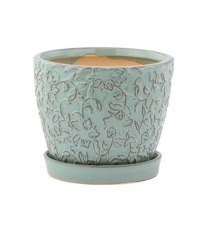 4.5" Blue Vine Pot with Saucer