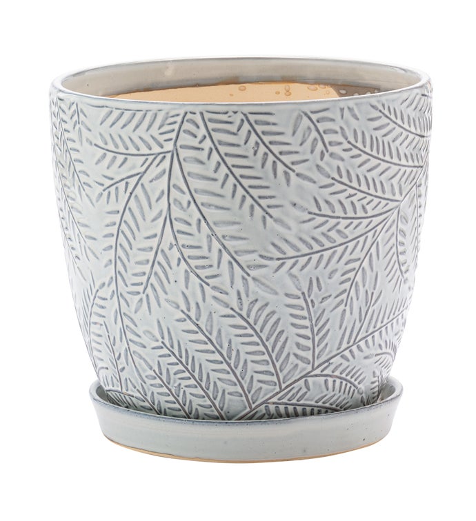 White Fern Pot with Saucer