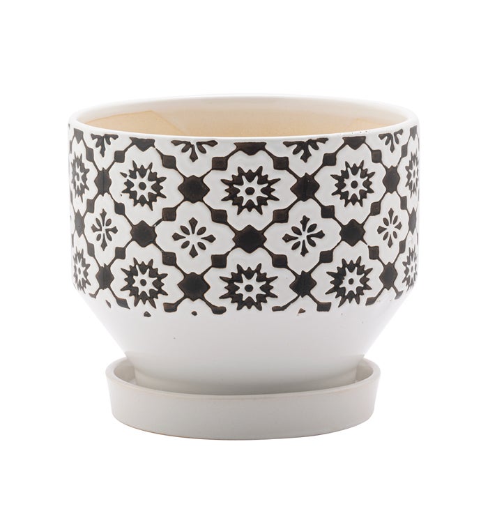 6" Brn/White Floral Pot with Saucer