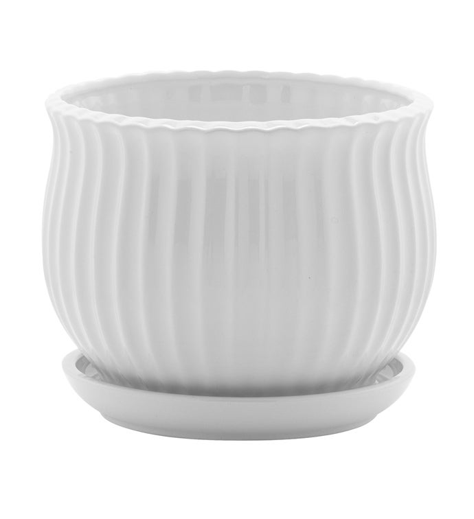 Large White Scalloped Pot with Saucer