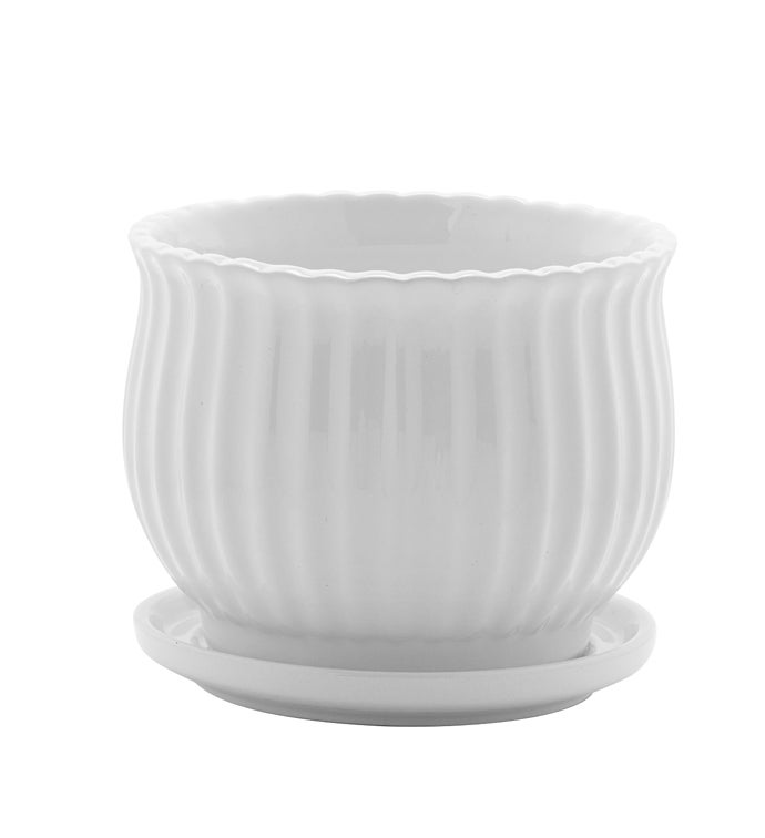 Medium White Scalloped Pot with Saucer